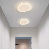 Flush Mount Ceiling Light