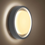 Outdoor Wall Lamp/ Flush Mount Ceiling Light