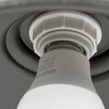 Alessio Rustic Bowl Shaped Antique Brass IP65 Water Proof Outdoor Wall Lamp