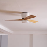 Wooden Ceiling Fan Light