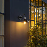 Alessio Rustic Bowl Shaped Antique Brass IP65 Water Proof Outdoor Wall Lamp