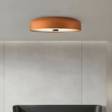 Nordic Retro Ceiling Light