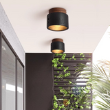 Ascend Stone Ceiling Lamp