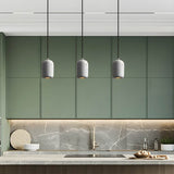 Ferro pendant lights