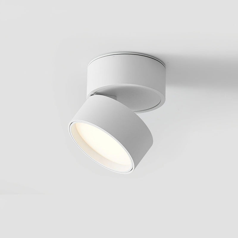 Favilla Surface Ceiling Lamp