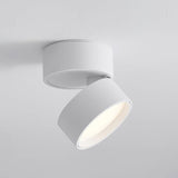 Savvina Surface Ceiling Light