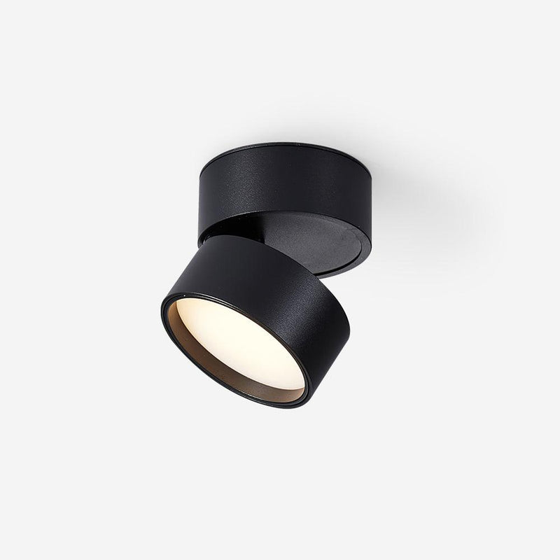 Favilla Surface Ceiling Lamp