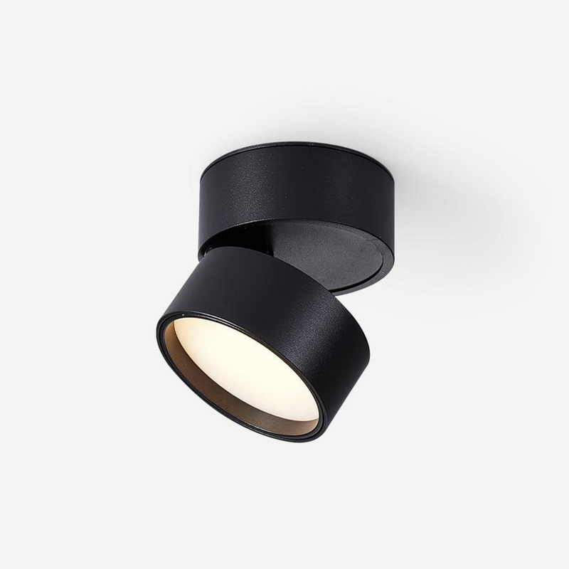 Favilla Surface Ceiling Lamp