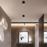 Savvina Surface Ceiling Light