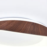 Nordic Artistic Wood Grain Ceiling Light