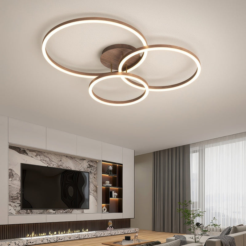 Elegant Ring Ceiling Luminaire