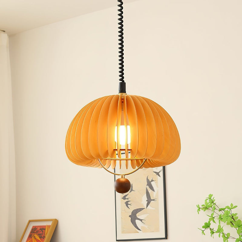 Pumpkin Adjustable Pendant Lamp