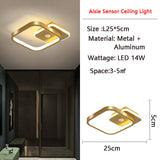 Human PIR Motion Sensor LED Ceiling Light