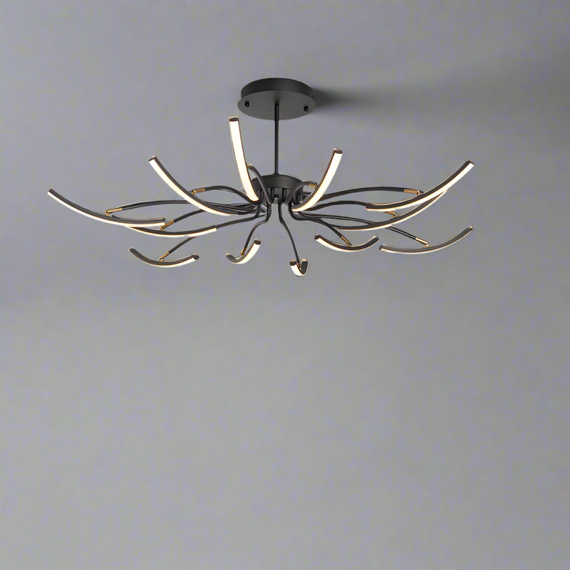 Luster Design Ceiling Light