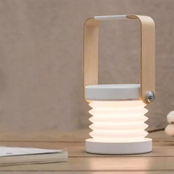 Portable LED Table Lamp