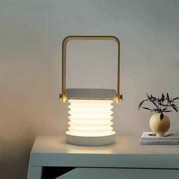 Portable LED Table Lamp