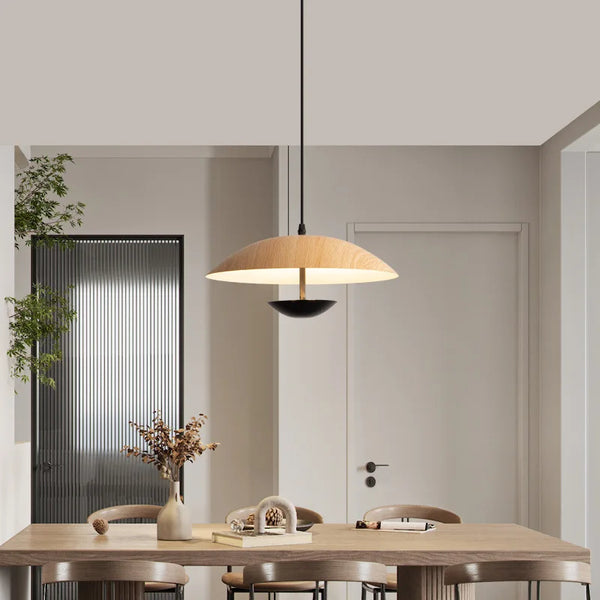 Nordic Designer Led Pendant Lights