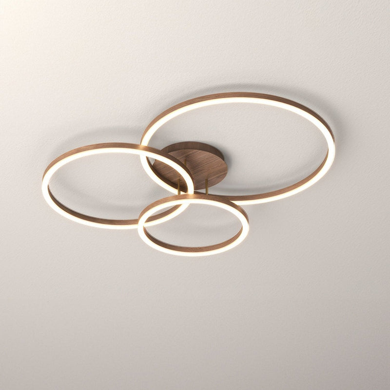 Elegant Ring Ceiling Luminaire